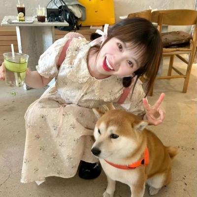 糖小姐探案集